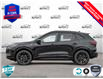 2025 Ford Escape ST-Line Elite (Stk: XH033) in Sault Ste. Marie - Image 3 of 24