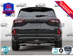 2025 Ford Escape ST-Line Elite (Stk: XH033) in Sault Ste. Marie - Image 5 of 24