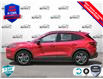 2025 Ford Escape ST-Line (Stk: XH027) in Sault Ste. Marie - Image 3 of 23