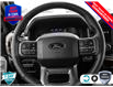 2025 Ford F-150 Lariat (Stk: FH066) in Sault Ste. Marie - Image 13 of 25