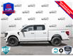 2025 Ford F-150 XLT (Stk: FH025) in Sault Ste. Marie - Image 3 of 24