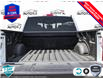 2025 Ford F-150 XLT (Stk: FH025) in Sault Ste. Marie - Image 7 of 24