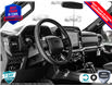 2025 Ford F-150 XLT (Stk: FH025) in Sault Ste. Marie - Image 12 of 24