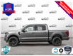 2025 Ford F-150 XLT (Stk: FH012) in Sault Ste. Marie - Image 3 of 23