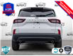 2025 Ford Escape ST-Line (Stk: XH024) in Sault Ste. Marie - Image 5 of 26