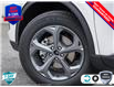 2025 Ford Escape ST-Line (Stk: XH024) in Sault Ste. Marie - Image 8 of 26