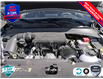 2025 Jeep Compass North (Stk: 104727) in St. Thomas - Image 6 of 26
