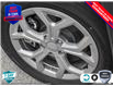 2025 Jeep Compass North (Stk: 104509) in St. Thomas - Image 8 of 25
