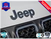 2025 Jeep Compass North (Stk: 104509) in St. Thomas - Image 9 of 25
