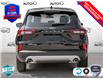 2025 Ford Escape Active (Stk: XH038) in Sault Ste. Marie - Image 5 of 25