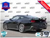 2025 Ford Mustang GT (Stk: 25MU527) in St. Catharines - Image 4 of 26