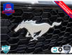 2025 Ford Mustang GT (Stk: 25MU527) in St. Catharines - Image 9 of 26