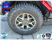 2025 Ford Bronco Badlands (Stk: 5B032) in Oakville - Image 6 of 25