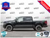 2025 Ford F-150 XLT (Stk: 5F019) in Oakville - Image 3 of 24