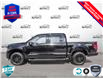 2025 Ford F-150 XLT (Stk: 250178) in Hamilton - Image 3 of 24