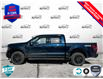 2025 Ford F-150 XLT (Stk: 5F035) in Oakville - Image 3 of 24