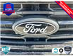 2025 Ford F-150 XLT (Stk: 5F035) in Oakville - Image 9 of 24