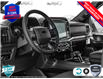 2025 Ford F-150 XLT (Stk: 250182) in Hamilton - Image 12 of 24