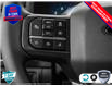 2025 Ford F-150 XLT (Stk: 250182) in Hamilton - Image 15 of 24