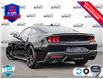 2025 Ford Mustang EcoBoost Premium (Stk: 250132) in Hamilton - Image 4 of 26