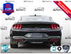 2025 Ford Mustang EcoBoost Premium (Stk: 250132) in Hamilton - Image 5 of 26