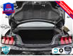2025 Ford Mustang EcoBoost Premium (Stk: 250132) in Hamilton - Image 7 of 26