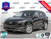 2025 Ford Escape Active (Stk: 250205) in Hamilton - Image 1 of 25