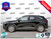 2025 Ford Escape Active (Stk: 250205) in Hamilton - Image 3 of 25