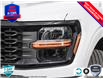 2025 Ford F-150 STX (Stk: 250198) in Hamilton - Image 9 of 24