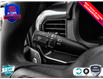 2025 Ford F-150 STX (Stk: 250198) in Hamilton - Image 23 of 24