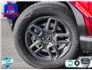2025 Ford Bronco Sport Big Bend (Stk: 25BS159) in St. Catharines - Image 8 of 25