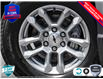 2025 Chevrolet Silverado 1500 RST (Stk: R337) in Grimsby - Image 8 of 26