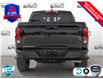 2025 Chevrolet Colorado Trail Boss (Stk: 25C248EXP) in Tillsonburg - Image 5 of 26