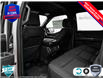 2025 Ford F-150 XLT (Stk: 5F050) in Oakville - Image 21 of 25