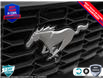 2025 Ford Mustang EcoBoost (Stk: 5G010) in Oakville - Image 9 of 25