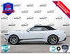 2025 Ford Mustang EcoBoost (Stk: 5G006) in Oakville - Image 3 of 25
