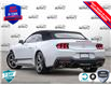 2025 Ford Mustang EcoBoost (Stk: 5G006) in Oakville - Image 4 of 25