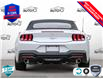 2025 Ford Mustang EcoBoost (Stk: 5G006) in Oakville - Image 5 of 25