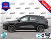 2025 Ford Escape ST-Line Elite (Stk: 25ES582) in St. Catharines - Image 3 of 24