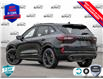 2025 Ford Escape ST-Line Elite (Stk: 25ES582) in St. Catharines - Image 4 of 24