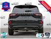 2025 Ford Escape ST-Line Elite (Stk: 25ES582) in St. Catharines - Image 5 of 24