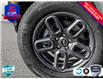 2025 Ford Bronco Sport Big Bend (Stk: 25BS592) in St. Catharines - Image 8 of 25
