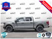 2025 Ford F-150 STX (Stk: 25F1183) in St. Catharines - Image 3 of 24