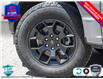 2025 Ford F-150 STX (Stk: 25F1183) in St. Catharines - Image 7 of 24
