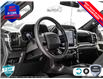 2025 Ford F-150 STX (Stk: 25F1183) in St. Catharines - Image 11 of 24