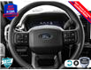 2025 Ford F-150 STX (Stk: 25F1183) in St. Catharines - Image 12 of 24