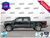 2025 Ford F-250 XLT (Stk: FH042) in Sault Ste. Marie - Image 3 of 24