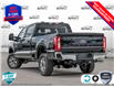 2025 Ford F-250 XLT (Stk: FH042) in Sault Ste. Marie - Image 4 of 24