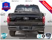 2025 Ford F-150 XLT (Stk: FH096) in Sault Ste. Marie - Image 5 of 24