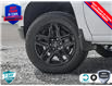 2025 Chevrolet Silverado 1500 LT Trail Boss (Stk: 25C261) in Tillsonburg - Image 8 of 24